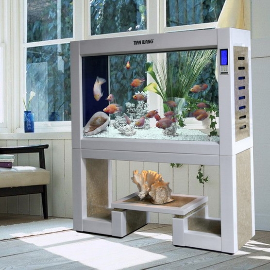 天王水族箱