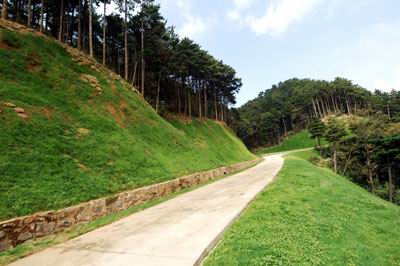 sns柔性防护系统在高陡边坡防护中的应用